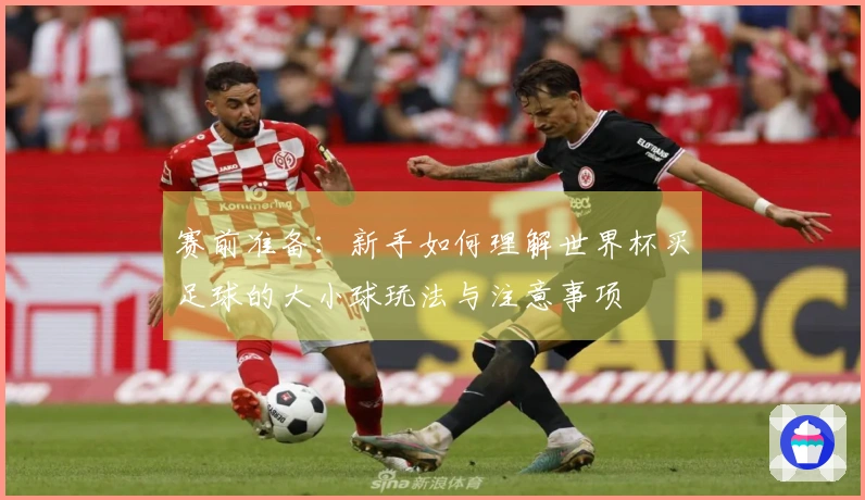 赛前准备：新手如何理解世界杯买足球的大小球玩法与注意事项