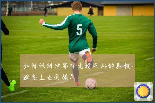 如何识别世界杯竞猜网站的真假，避免上当受骗？