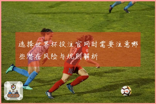 选择世界杯投注官网时需要注意哪些潜在风险与规则解析