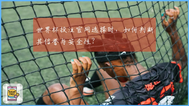 世界杯投注官网选择时，如何判断其信誉与安全性？