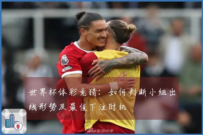 世界杯体彩竞猜：如何判断小组出线形势及最佳下注时机